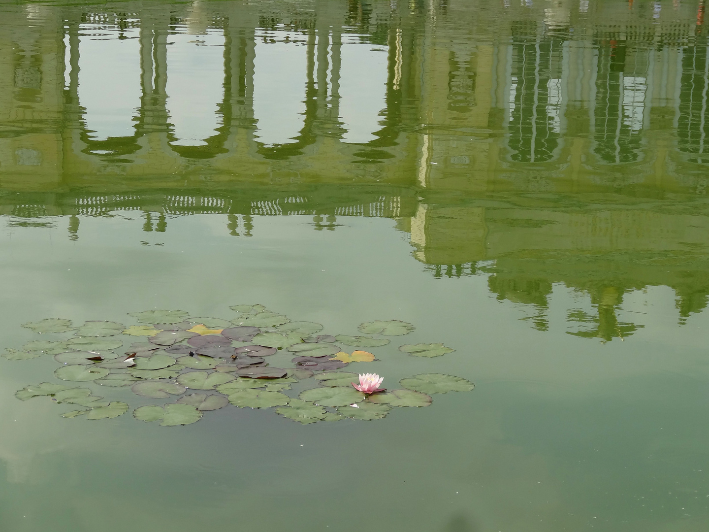 Gloriette mit Seerose