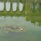 Gloriette mit Seerose