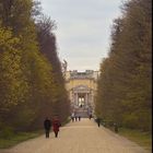 Gloriette Schönbrunn