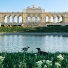 Gloriette Schönbrunn