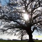 Gloucestershire, England