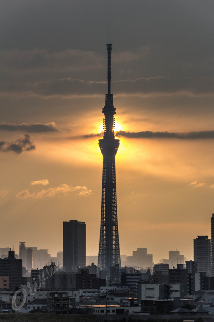 gloving Skytree of Tokio