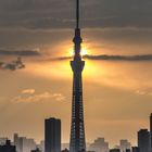 gloving Skytree of Tokio