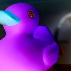 glow-in-the-dark-duck