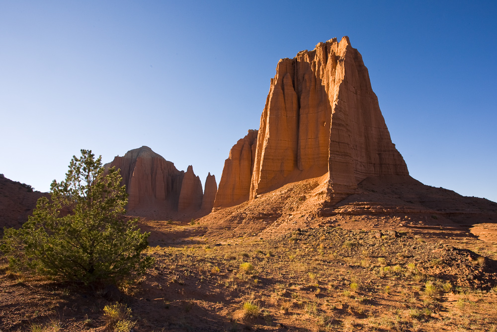 Glowing Cathedrals