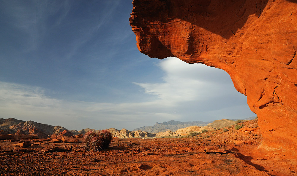 Glowing Desert