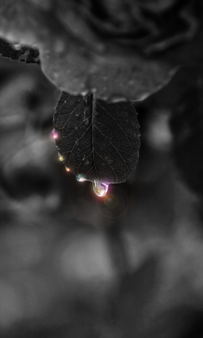 Glowing Drops
