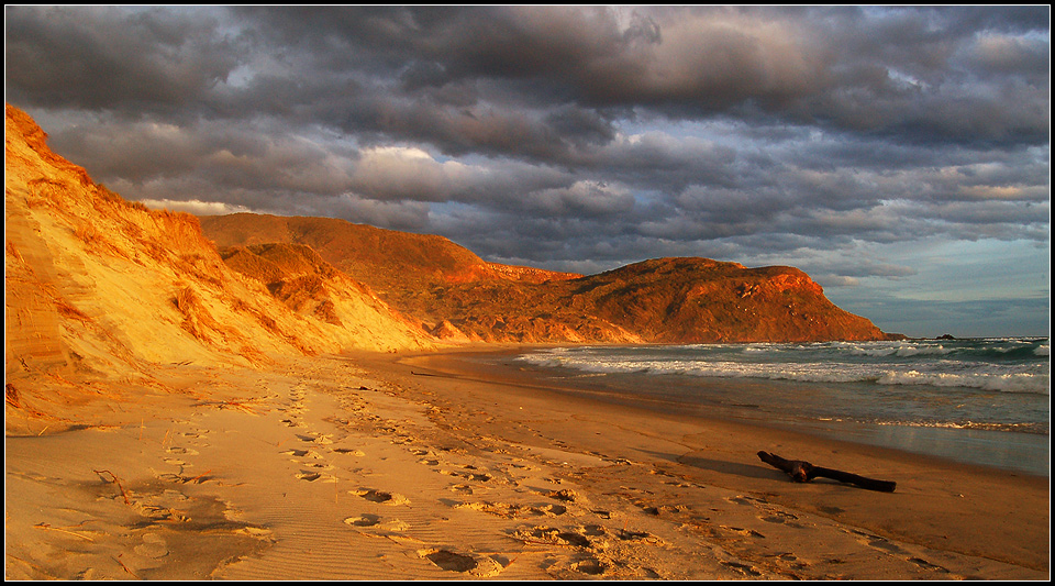 Glowing Dunes - Otago Peninsula, New Zealand