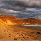 Glowing Dunes - Otago Peninsula, New Zealand