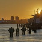 **Glowing Harbour