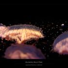 Glowing Jelly Fish