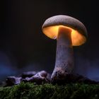 Glowing Mushroom