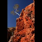 Glowing Rock