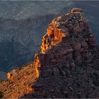 Glowing Rocks - Grand Canyon