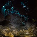 GlowWorm Cave