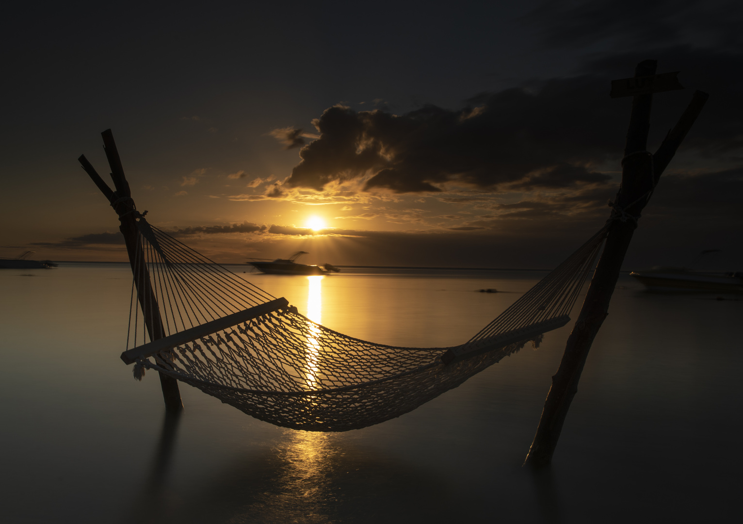 glowy hammock