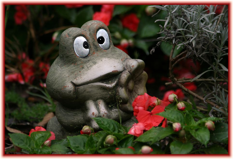 "Glubschi ... der Garten - Gucker" - oder was wäre Dein Titel gewesen?