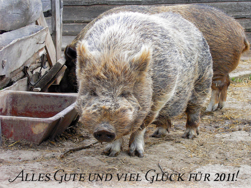 Glück