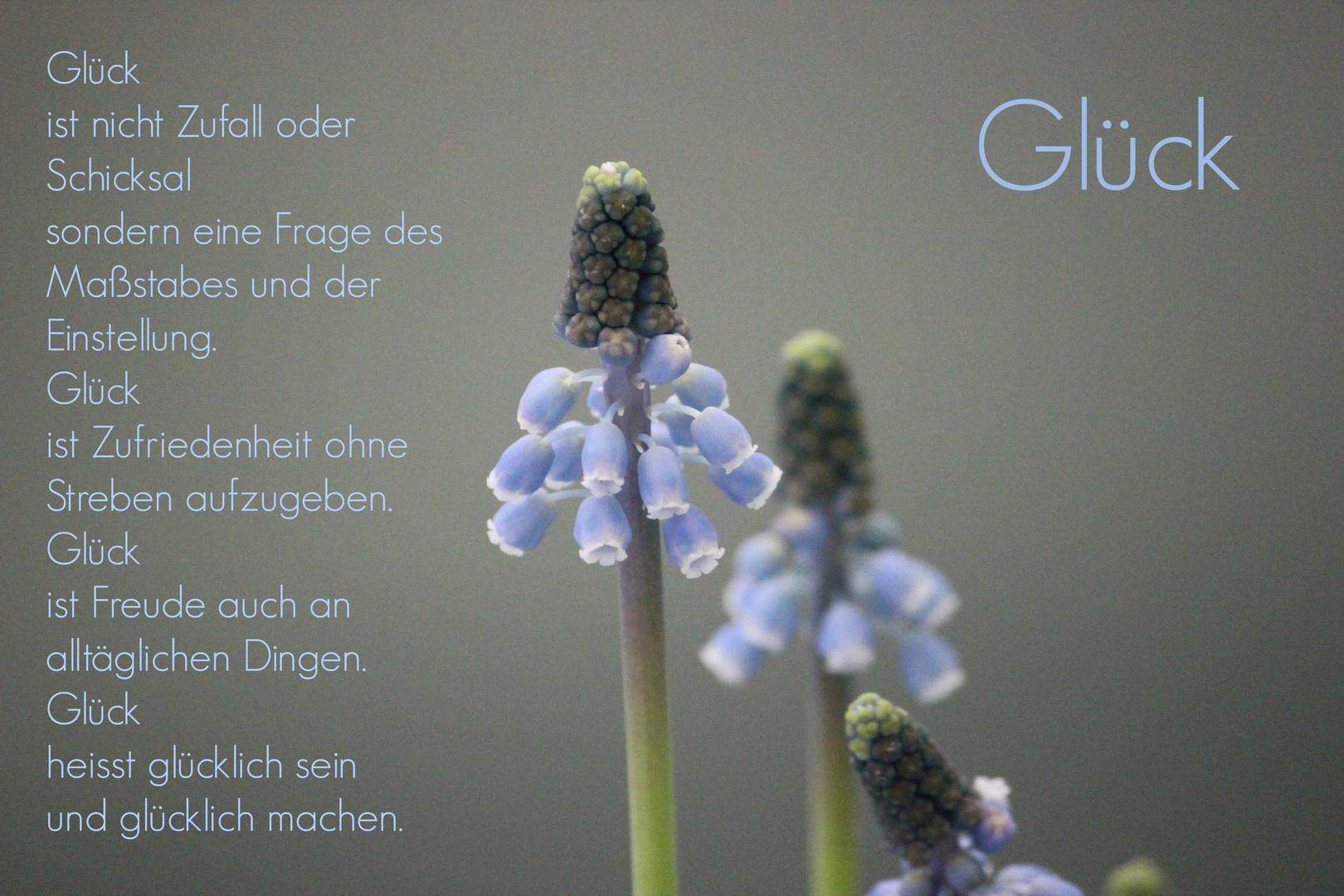 Glück