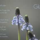 Glück