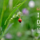 Glück 14