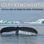 Glück 27