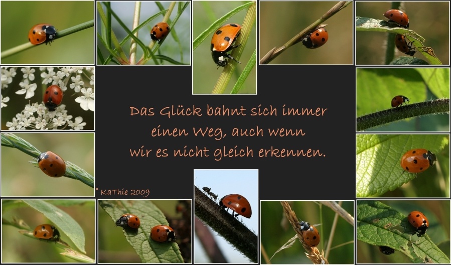 Glück