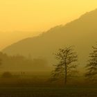 Glück : Eins-Sein mit der Natur...