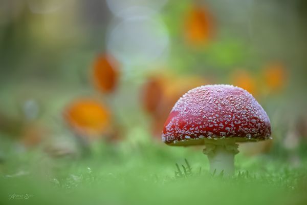 ... Glück gehabt ...