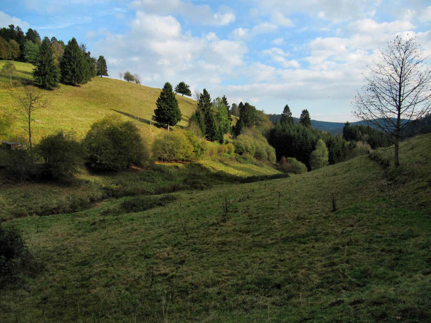 Glück gehabt mit dem Wetter auf der Wanderung