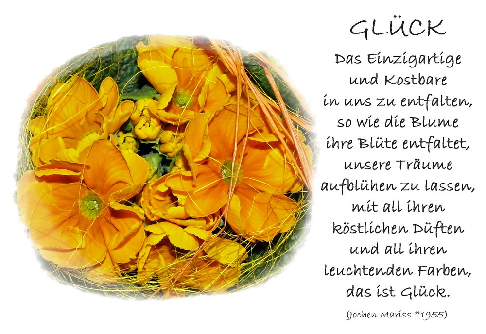 Glück III