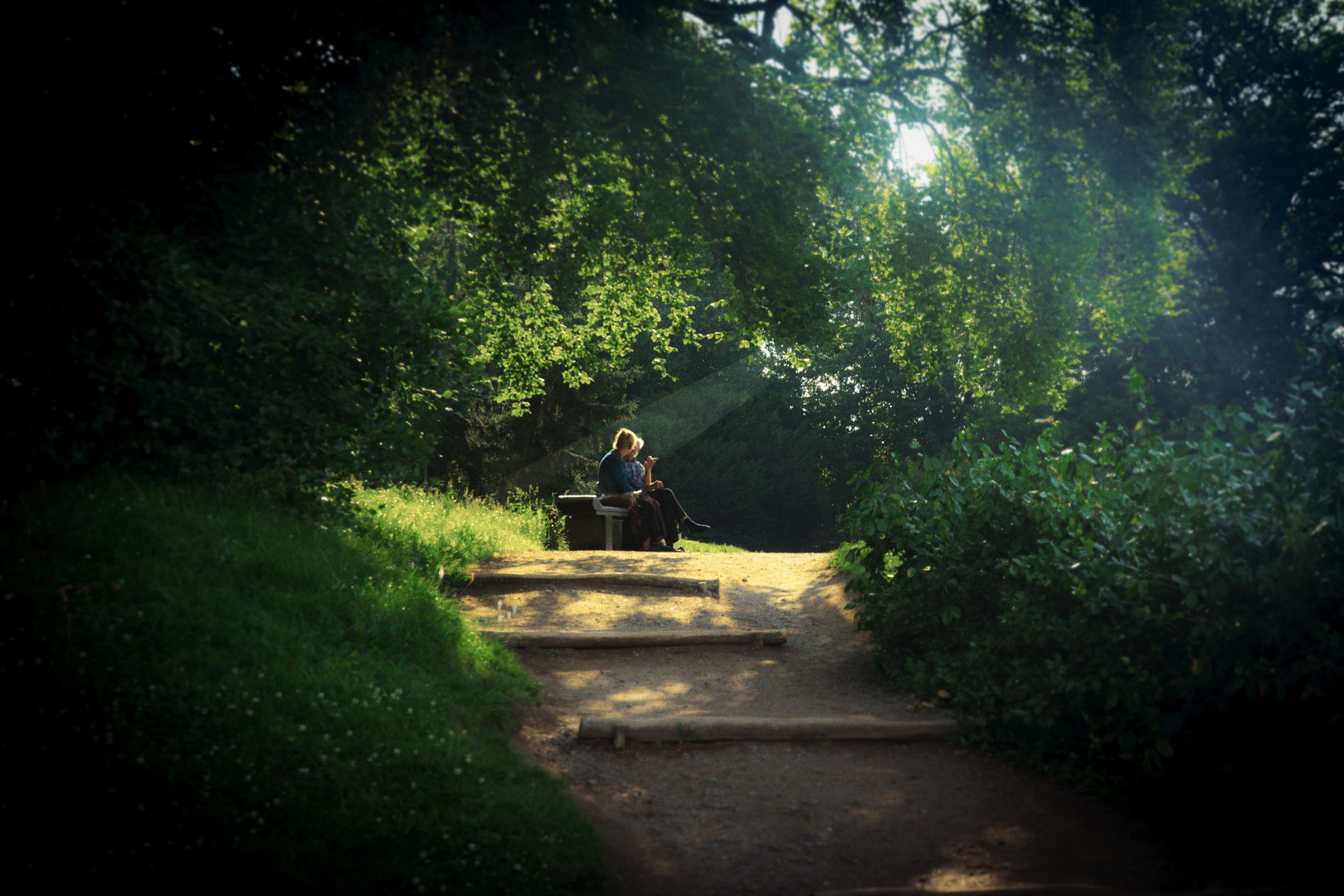 Glück im Park von Wörlitz