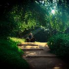 Glück im Park von Wörlitz