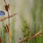 Glück ist die Summe schöner Momente 10