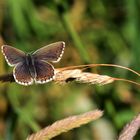 Glück ist die Summe schöner Momente 17