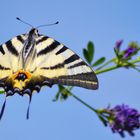 Glück ist die Summe schöner Momente 79