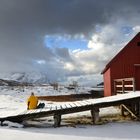 Glück ist eine halbe Insel – Freilichtmuseum Kjerringøy Norwegen 