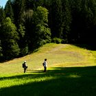 glück ist, in schöner Gegend spazieren zu gehen