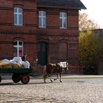 Glück muß der Fotograf haben......