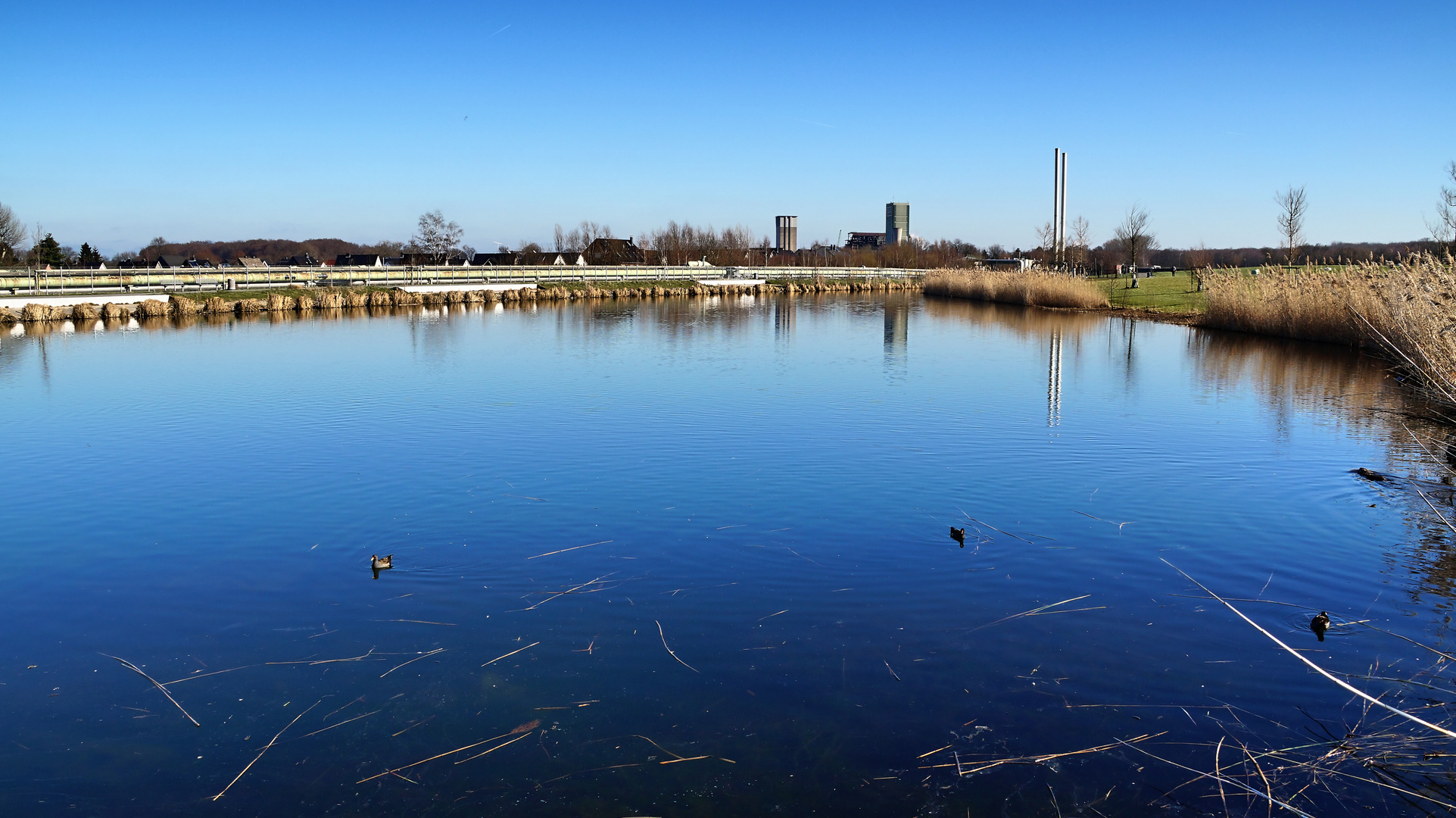 Glückauf Park in Gelsenkirchen