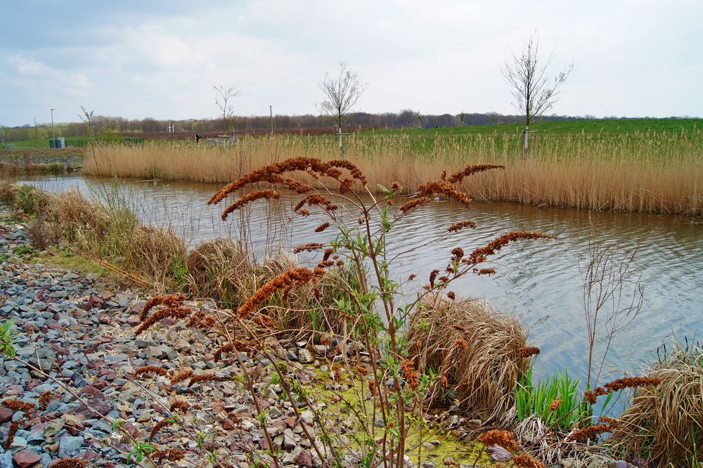 Glückauf Park in Gelsenkirchen Hassel