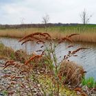 Glückauf Park in Gelsenkirchen Hassel