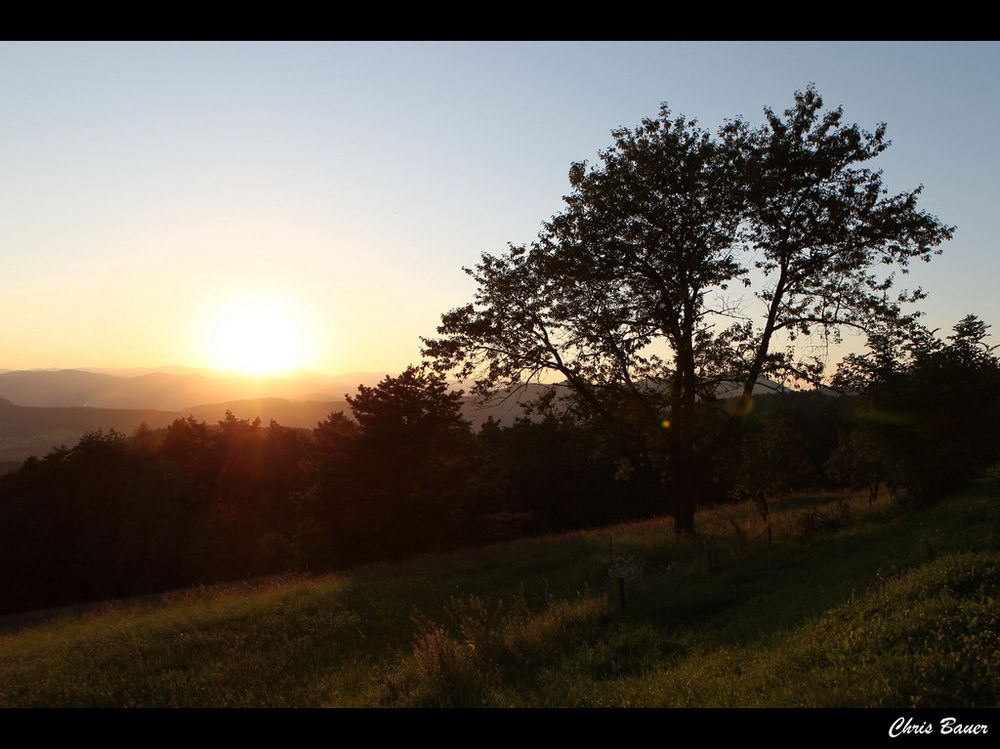 Glücklich ist einer, der sich bei Sonnenuntergang über die aufgehenden Sterne freut.