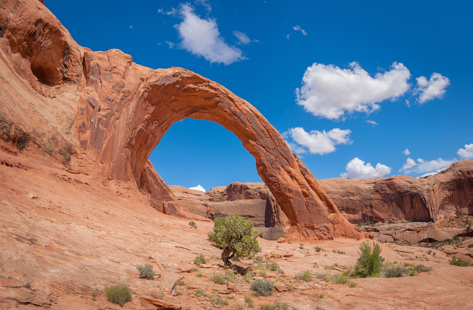 Glücklich ist, wer am Corona-Arch sein darf.