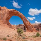 Glücklich ist, wer am Corona-Arch sein darf.