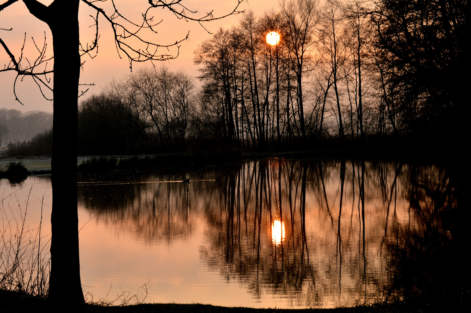 Glücklich ist, wer sich bei Sonnenuntergang auf die Sterne freut