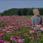 Glücklich und ohne Hut unter 1001 Sonnenhüten