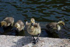 Glücklich zurück vom ersten Ausflug