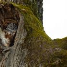 Glückliche Entdeckung im Wald 