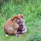 Glückliche Familie